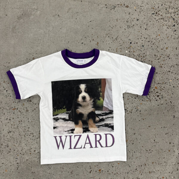 Wizard dog